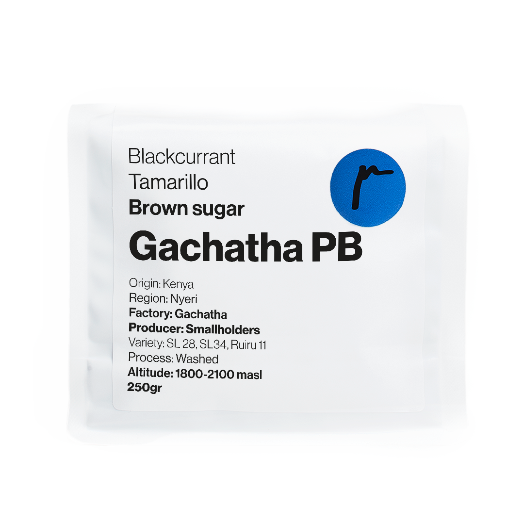 Gachatha PB