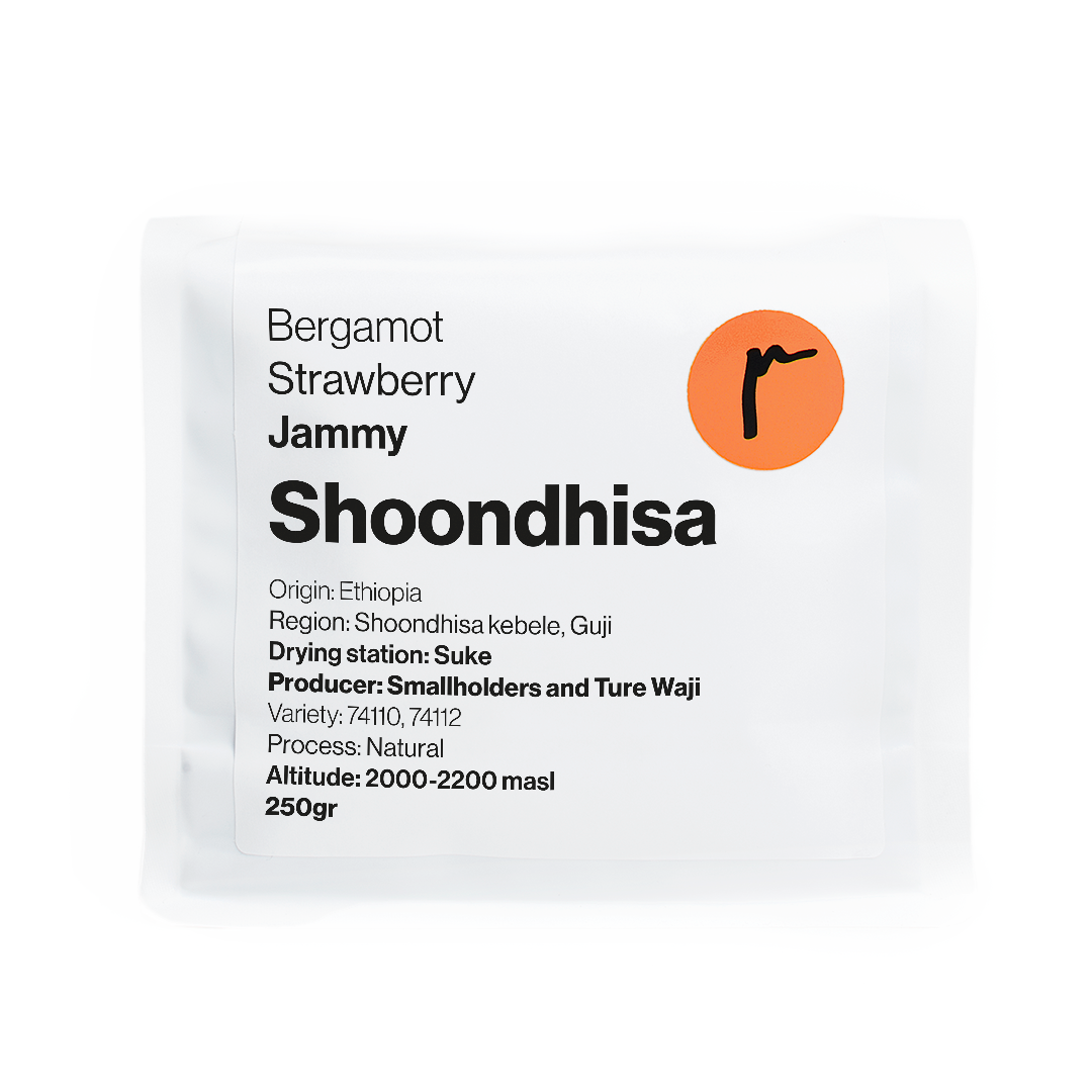 Shoondhisa
