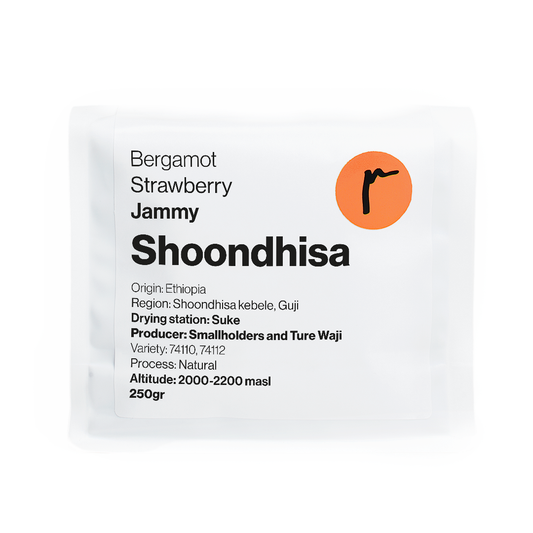 Shoondhisa
